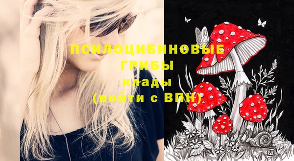 стафф Михайловск