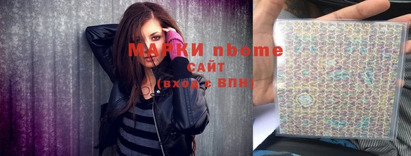 шишки Аша