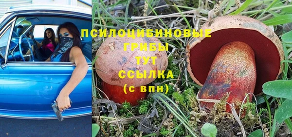 прущая мука Надым